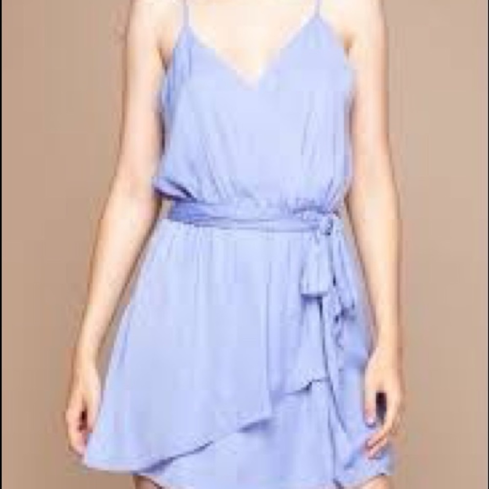 Naked Zebra Eliot Waist Tie Dress